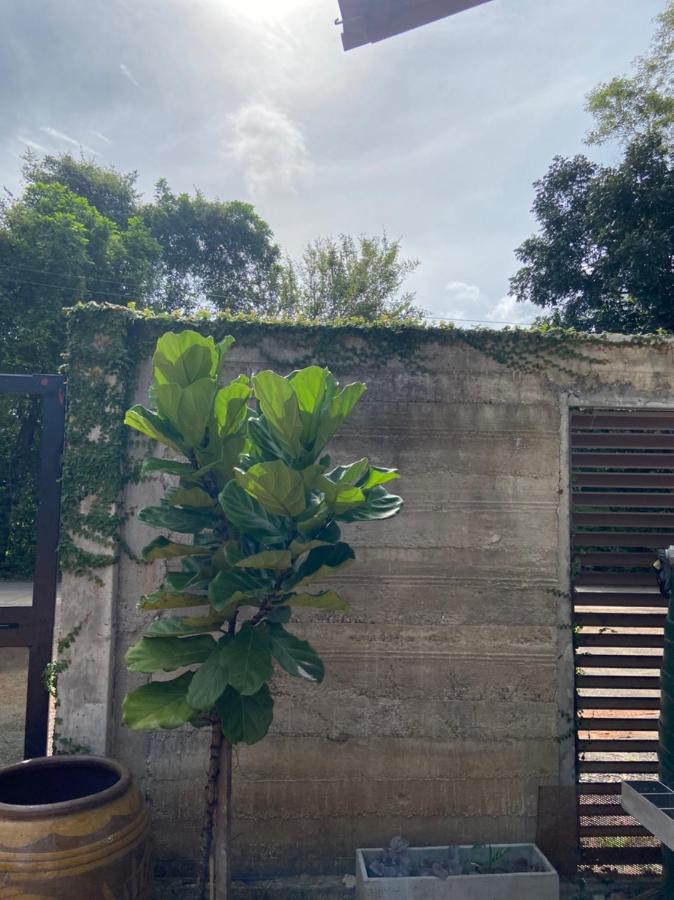 Forest Guesthouse Ban Don Muang  エクステリア 写真