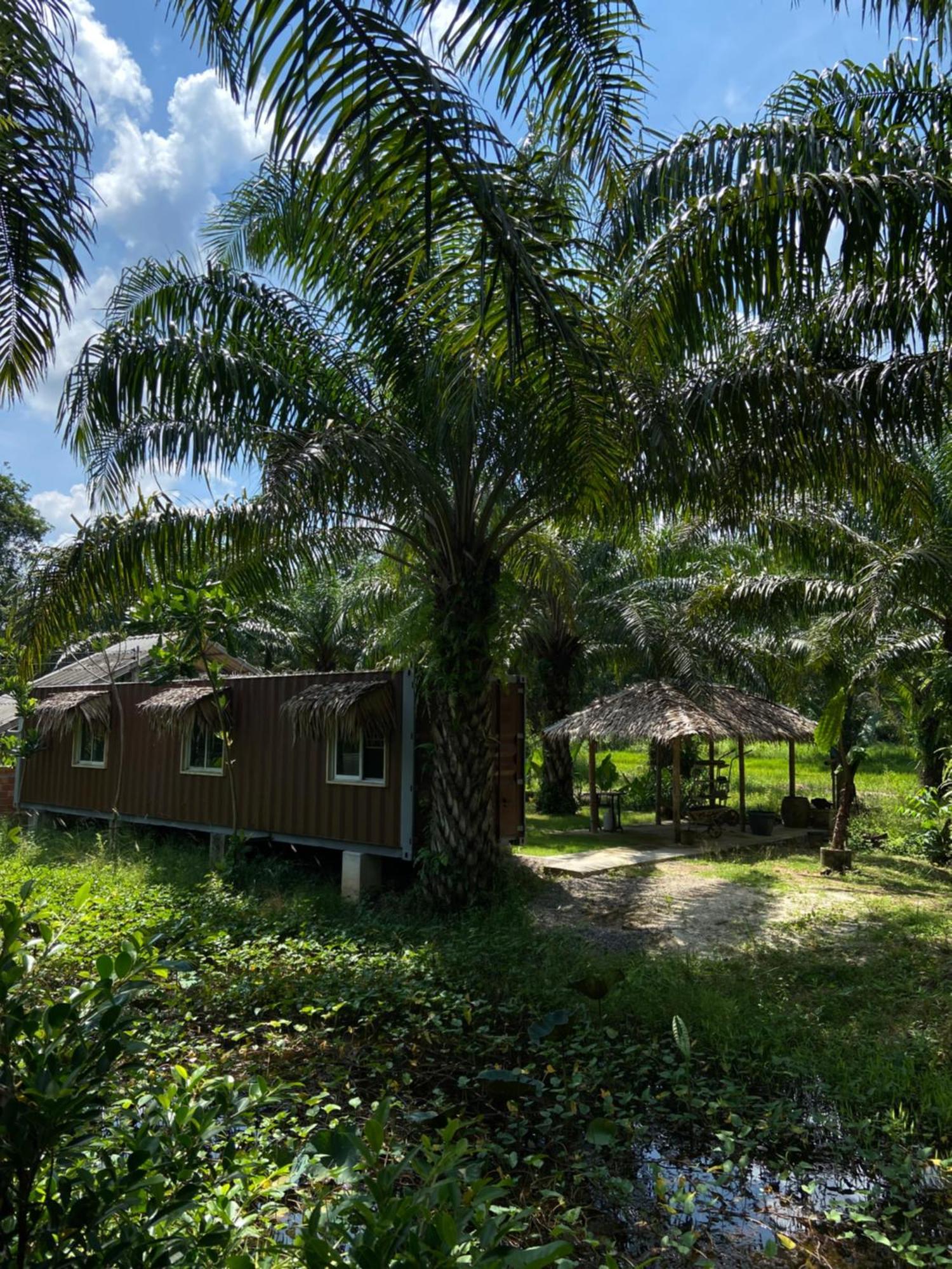 Forest Guesthouse Ban Don Muang  エクステリア 写真